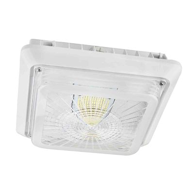 Überdachungs-Leuchten der Küchen-120V 40W 5000K IP65 LED